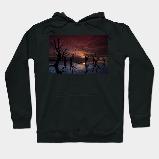 Lake Bonney Hoodie by lordveritas